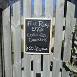 Bed & Breakfast Daleholme 3*
