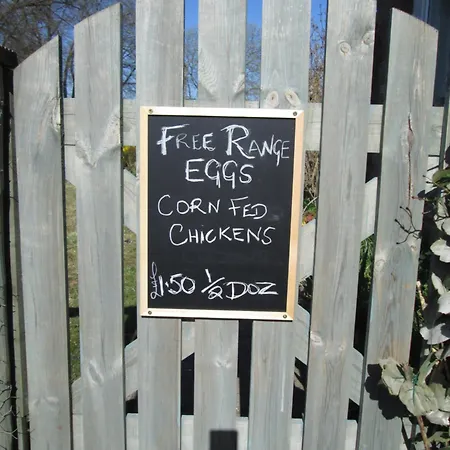 Bed & Breakfast Daleholme *