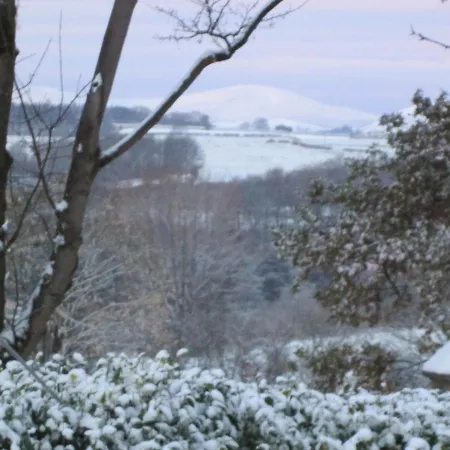 Daleholme Bed and Breakfast